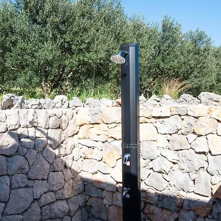 Grand View * أوروبيتش